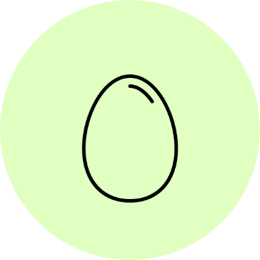 eieren