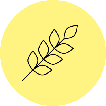 gluten